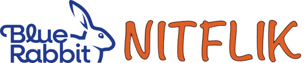 Nitflik Lice Treatment